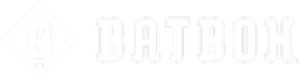 Batbox: The Future of Interactive Baseball Entertainment